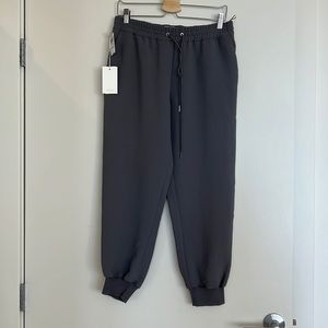 Brand New Wilfred Pants